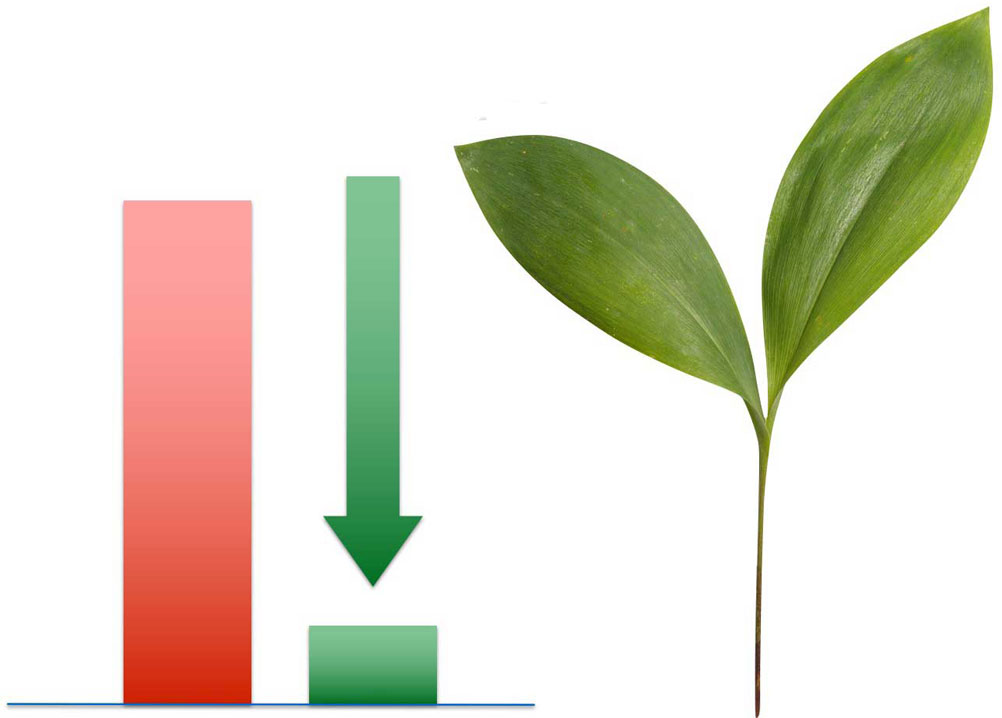 Energy Efficient VoIP PBX